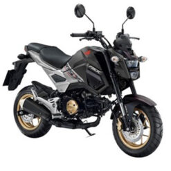 ชุดสี MSX 125 SF ปี 2018 ABS สีดำ-เทา