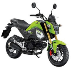 ชุดสี MSX 125 SF ปี 2018 สีเขียว-ดำ