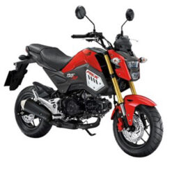 ชุดสี MSX 125 SF ปี 2018 สีแดง-ดำ