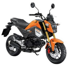 ชุดสี MSX 125 SF ปี 2018 สีส้ม-ดำ