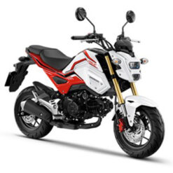 ชุดสี MSX 125 SF ปี 2020 สีขาว-แดง